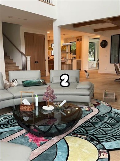 Spot the cat! #findthehidden #fy #fypシ゚viral #cat #funnycats #pets #cute #cutecat