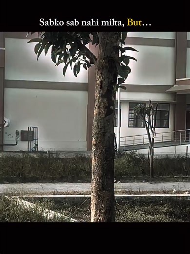 Runner's Emotional Journey: What Did I Find?