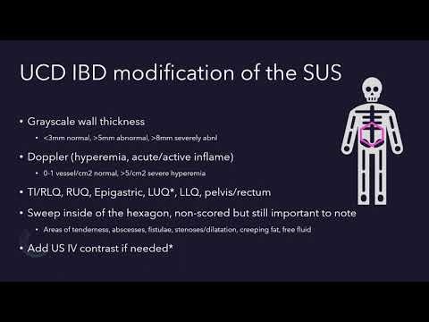 Ultrasound assessment of inflammatory bowel disease