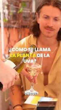 Spanish Wine Tasting in Barcelona 🍷 | Rooftop Experience with Camino Barcelona