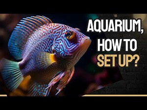 The Ultimate Guide to A Perfect Aquarium