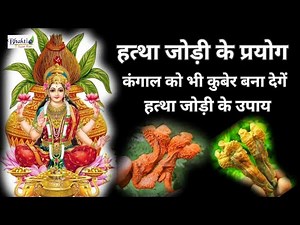 Hata Jodi ke upay / Hatha Jodi plant / By using Hatha Jodi, Goddess Lakshmi always resides in the...