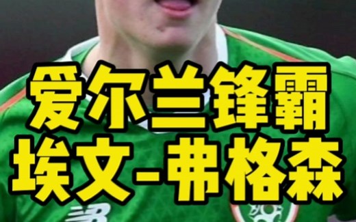 第209期 布莱顿的爱尔兰锋霸弗格森