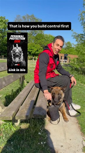 Protection Dog Training Starts Here #stsk9 #personalprotectiondog