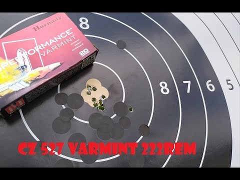 Cz 527 Varmint 222Rem munition Hornady 50gr 200m