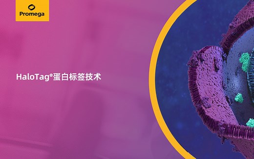 HaloTag蛋白标签技术