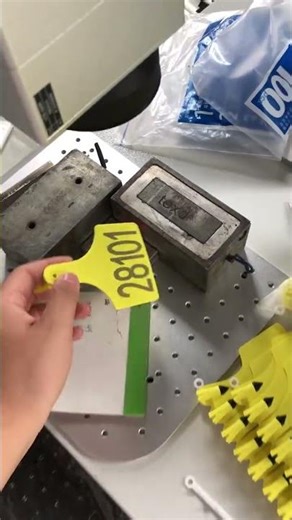 Engraving Cattle Ear Tags Using a UV Laser Marking Machine