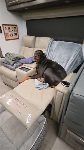New week new fb goals and new projects #georgetown 7 36k7 2025 #digitalcreator #doberman #rvlife #bonk | Jason Hiecke