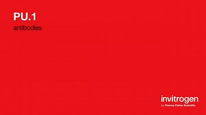 PU.1 antibodies from Thermo Fisher Scientific