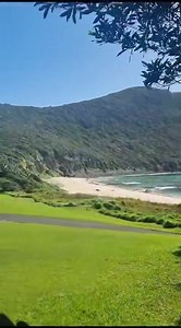 81 reactions · 8 comments | Lord Howe island has to be one of the...