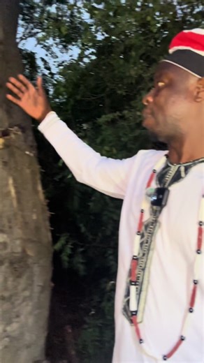 LOGOTI#africa #tictokviral #actuce #