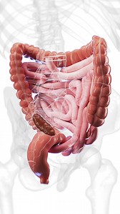 2.5M views · 8.6K reactions |  What Happens During Constipation?...