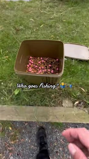 Baiting Up for Successful Carp Fishing
