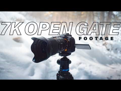 Canon R6 Mark III - 7K Open Gate Sample Footage
