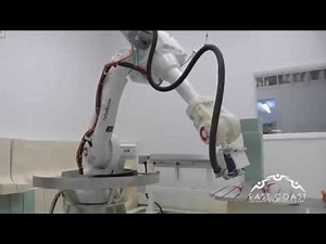 ORTIS - ROBOTICOM, the robotic carver for the O&P market