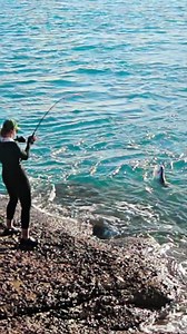 Fishing Adventure by the Rocky Shoreline