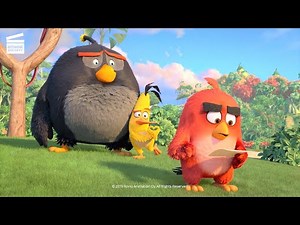 The Angry Birds 2: A Truce (HD CLIP)