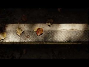 Disability and the Gospel