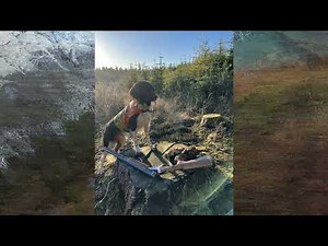 Woodcock hunting Denmark 2021/2022 - Kleiner Münsterlænder