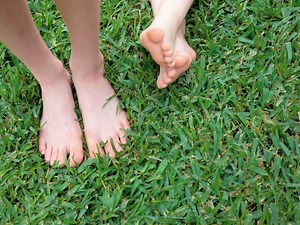 Keep Your Lawn Lush With Yates Weed ‘N’ Feed - Bunnings Australia