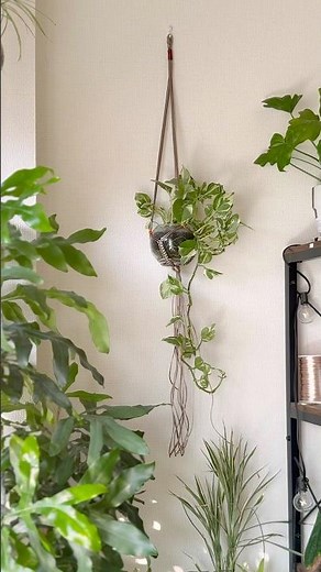 [MAKING] Macrame Plant Hanger with Leftover Cord Making a macrame plant hanger using leftover cor...