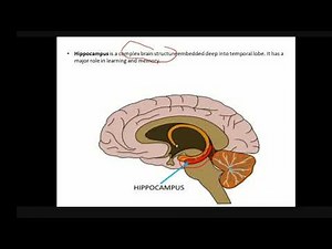 HOPFIELD NETWORKS PART 1