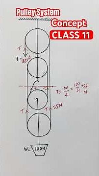 Pulley System Concept | Class 11 Physics Explained with Examples #physics #class11