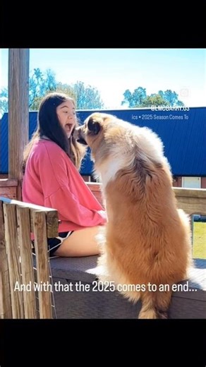 The 2025 season is officially over... | #2025recap #memories #shorts #fypシ #hello2026