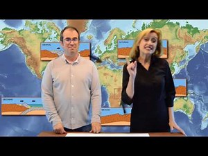 Ciclo de Wilson (XeoClip)