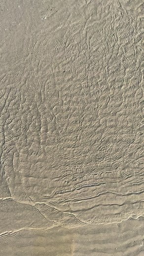 71K views · 1.8K reactions | What a stunning evening on Galveston Island! ️ Water so clear, you can watch the big fish chase the little fish while all being chased by the birds! Sound on!   RoamGalveston | Galveston Island | Facebook