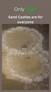 26K views · 840 reactions | Sand Castles #frogs #FrogLife #frogmeme #frog | OnlyFrogs | Facebook