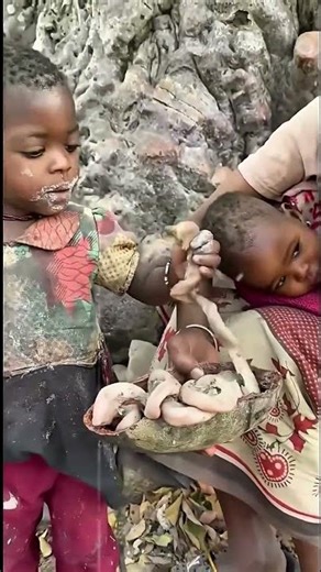 Tribal Life & Culture: Traditional Food Habits of Remote Tribes #vilagelife #animallife #africa