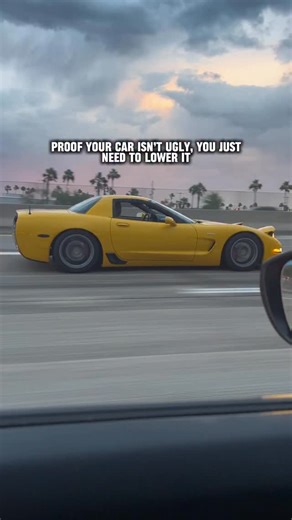 Tom on Instagram: "Just lower it bro it changes everything #corvette #motorsport #americanmade"