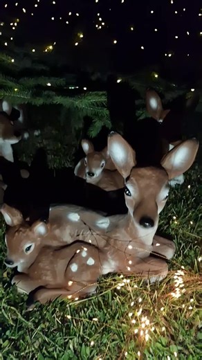 #atelierulluicristian TikTok