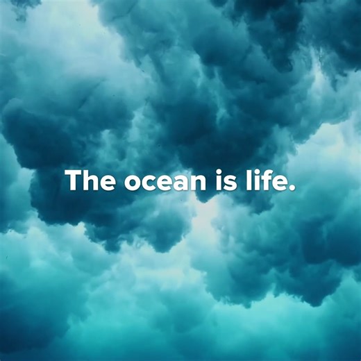 4.5K views · 127 reactions | In 2025, the world is expected to consume 516M tonnes of plastic – and much of it will end up polluting our . But plastic pollution is a problem we can solve. Discover how we are working to #BeatPlasticPollution – from policies to practical solutions. #SaveOurOcean | United Nations Development Programme - UNDP | Facebook