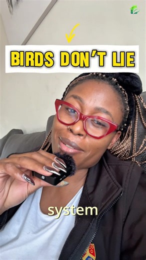 What your chickens are telling you