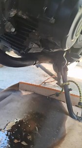 11K views · 124 reactions | Nexus MV on Reels | Facebook