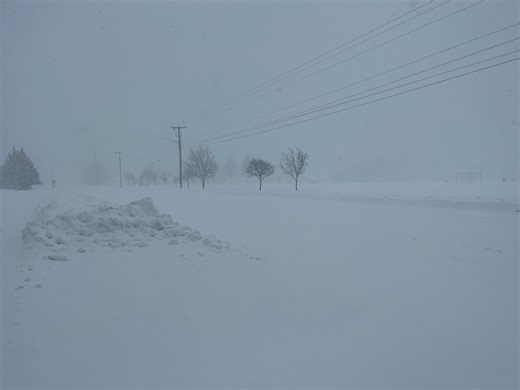 These Marshfield businesses are closed March 16 due to snowstorm