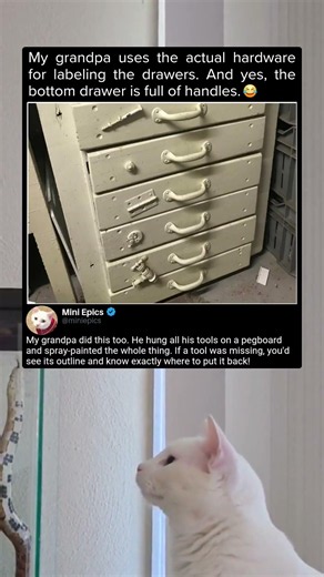 Every Drawer Explains Itself Perfectly