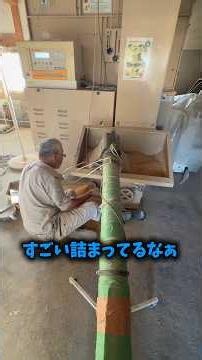 すごい詰まってるなぁ#shorts #農業 #佐渡 #農家 #整備 #点検 #メンテナンス #トラブル #秋 #9月 #お米 #コメ #米 #田舎 #田舎暮らし #仕事 #作業 #乾燥 #田んぼ