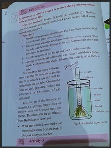 Experiment to observe oxygen is evolved during photosynthesis i... | Filo