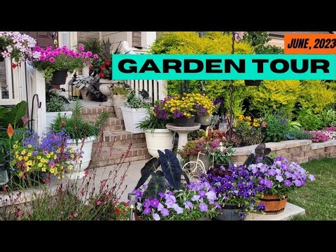 Early Summer (June) 2023 Garden Tour | Perennial Garden | Front Yard Makeover with Long Blooms