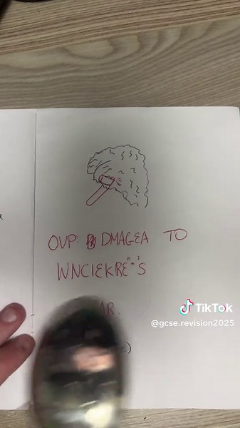 Understanding Psychology Brain Rot for GCSE Exams