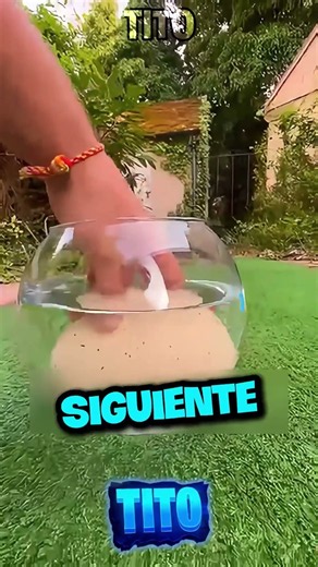 Esperó Horas Por Este Huevo De Tiburón… ¡Y Luego Se Rompió! 🦈😳