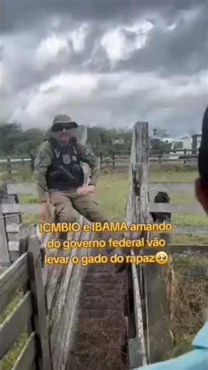 IBAMA seizes cattle from farmers #ibama #countryside #news