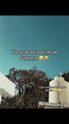El Amor y sus Locuras: Humor del 14 de Febrero