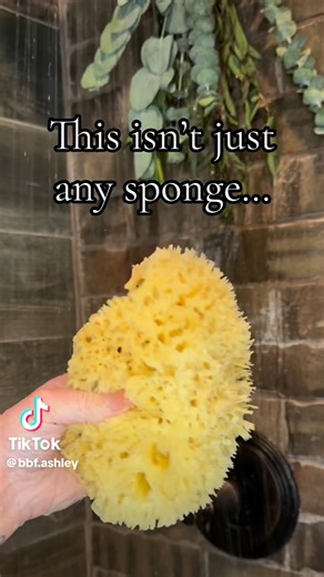 Bath & Body Fusion on Instagram: "Our Natural Wool Sea Sponges (the finest of the Sea) offer gentle exfoliation of dead skin cells to reveal younger, fresher looking skin. They create a luxurious lather while you cleanse and are highly absorbent, softly textured and suitable for all skin types, including sensitive skin. This silky, soft sponge is gentle enough for bathing infants as well. While we call this a bathing sponge, there are many more uses for a natural sea sponge! Try it in the kitche