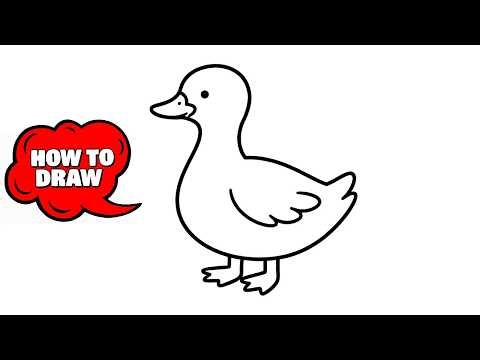 How to Draw a Duck | Easy Step-by-Step Drawing Tutorial