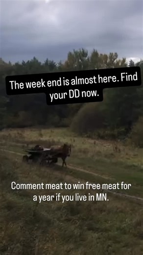 Wade | BAMFmeats | MN farm raised Beef, Pork & Chicken 🇺🇸 on Instagram: "We are Minnesota raised beef pork and chicken. If you are in our service area join our mail list for a chance to win free meat for a year. Comment meat for link... Why Local Beef Beats Supermarket Meat Every Time Here’s what your body and your plate get when you go farm direct: • Fewer Toxins, Cleaner Fuel – Local beef is often pasture-raised without the hormones, antibiotics, and additives common in industrial meat. You