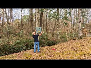 12 Tips to Hanging Swarm Traps